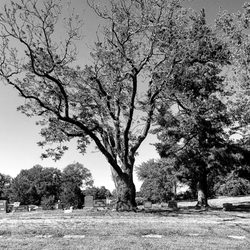 Highland Cemetary