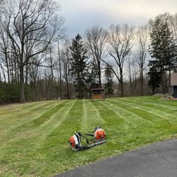 Berardi's Landscaping & Tree Removal