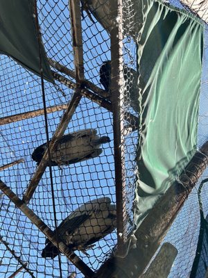 ABQ BioPark Zoo by null