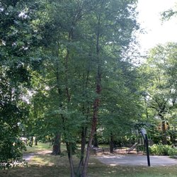 Azalea Park