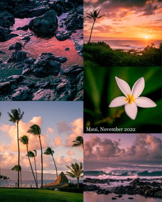 Napili Shores Maui by Outrigger by null