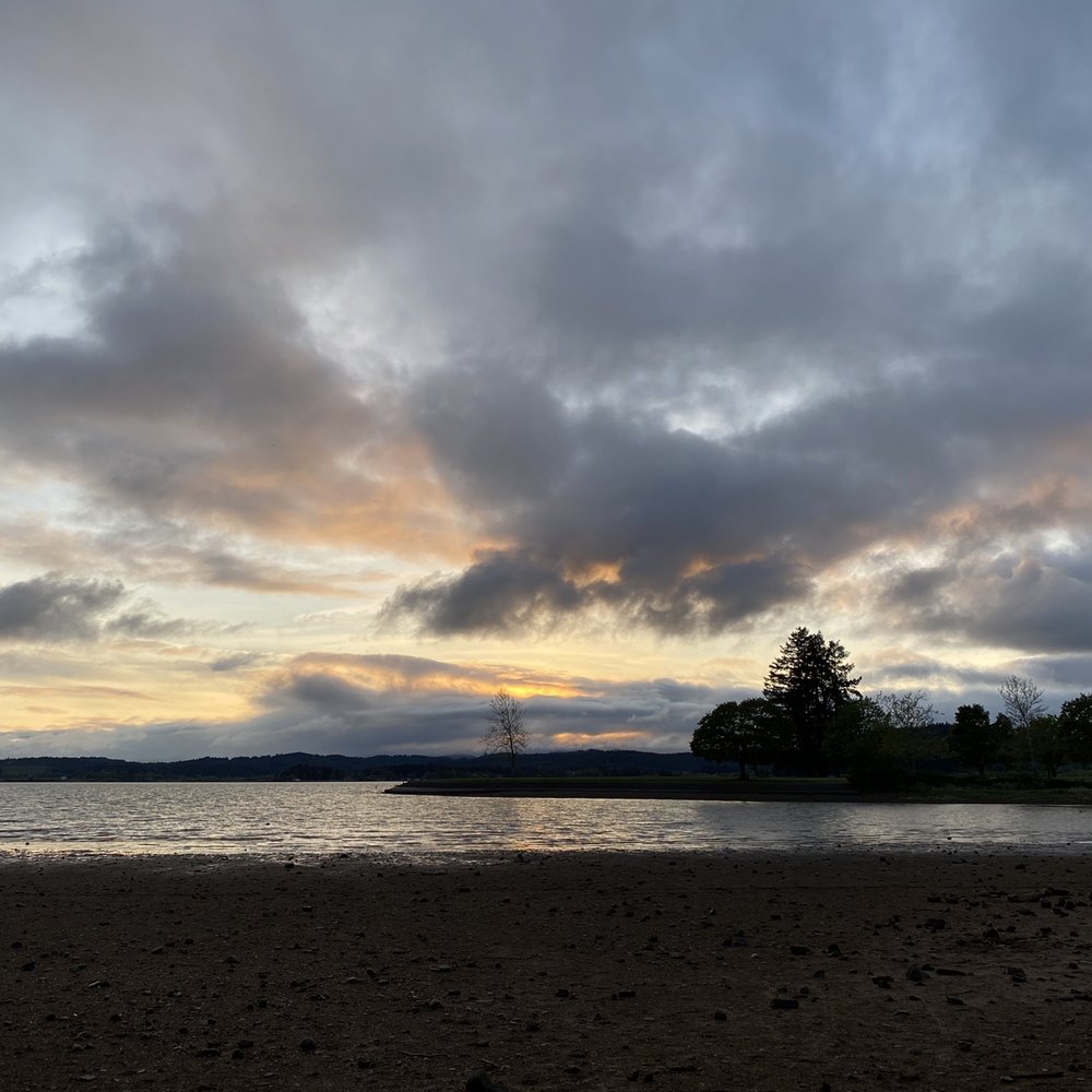 Fern Ridge Wildlife Area - Parks Near Me - Eugene, Oregon