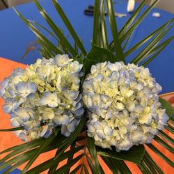 My Enchanted Florist