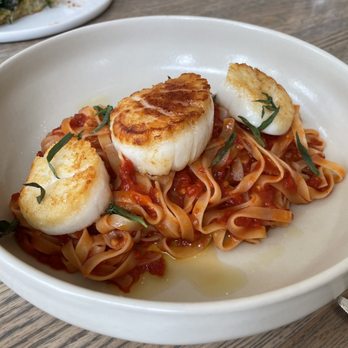 Apolonia - scallop pasta - Modern European Near Me - Chicago, Illinois
