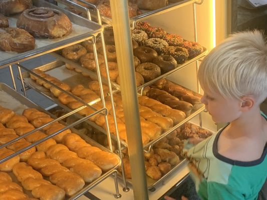 Surfin Donuts by null