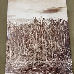 21 Restaurant - Menu cover