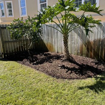 Bee Green Landscaping LLC - Trimmed up and added some fresh mulch with a crisp bed edge. - Lawn Services Near Me Bee Green Landscaping LLC - Trimmed up and added some fresh mulch with a crisp bed edge. - Lawn Services Near Me
