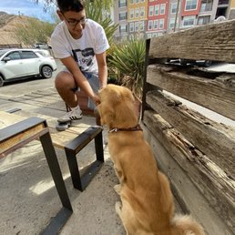 My dog enjoying his treat