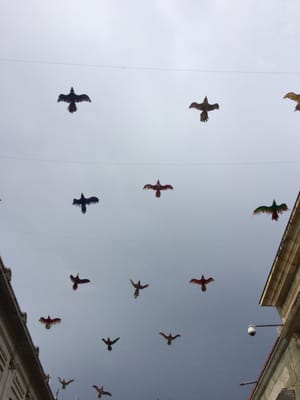 Andador Turístico by null