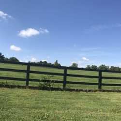 Jacobson Park Dog Park