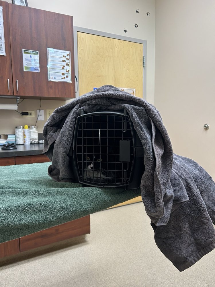 Danada Veterinary Hospital - pet boarding facility in Wheaton, IL