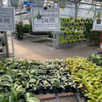 Valleyview Gardens - Florida ghost - Nurseries & Gardening Near Me - Markham, Ontario