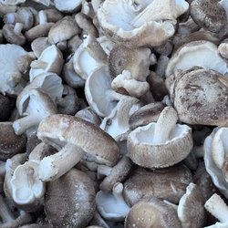 Westlake Village Farmers' Market - Shiitakes fresh and beautiful !
