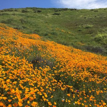 Walker Canyon Ecological Reserve - Wildlife Hunting Ranges Near Me