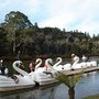 Photo of Parque do Lago Negro
