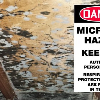 Advanced Enviro Clean - GOT MOLD? All mold carries a potential for affecting sensitive individuals, thus, remediation actions are frequently recommended. - Environmental Testing Near Me - Ypsilanti Township, Michigan
