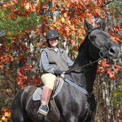Boston Equestrian Center West