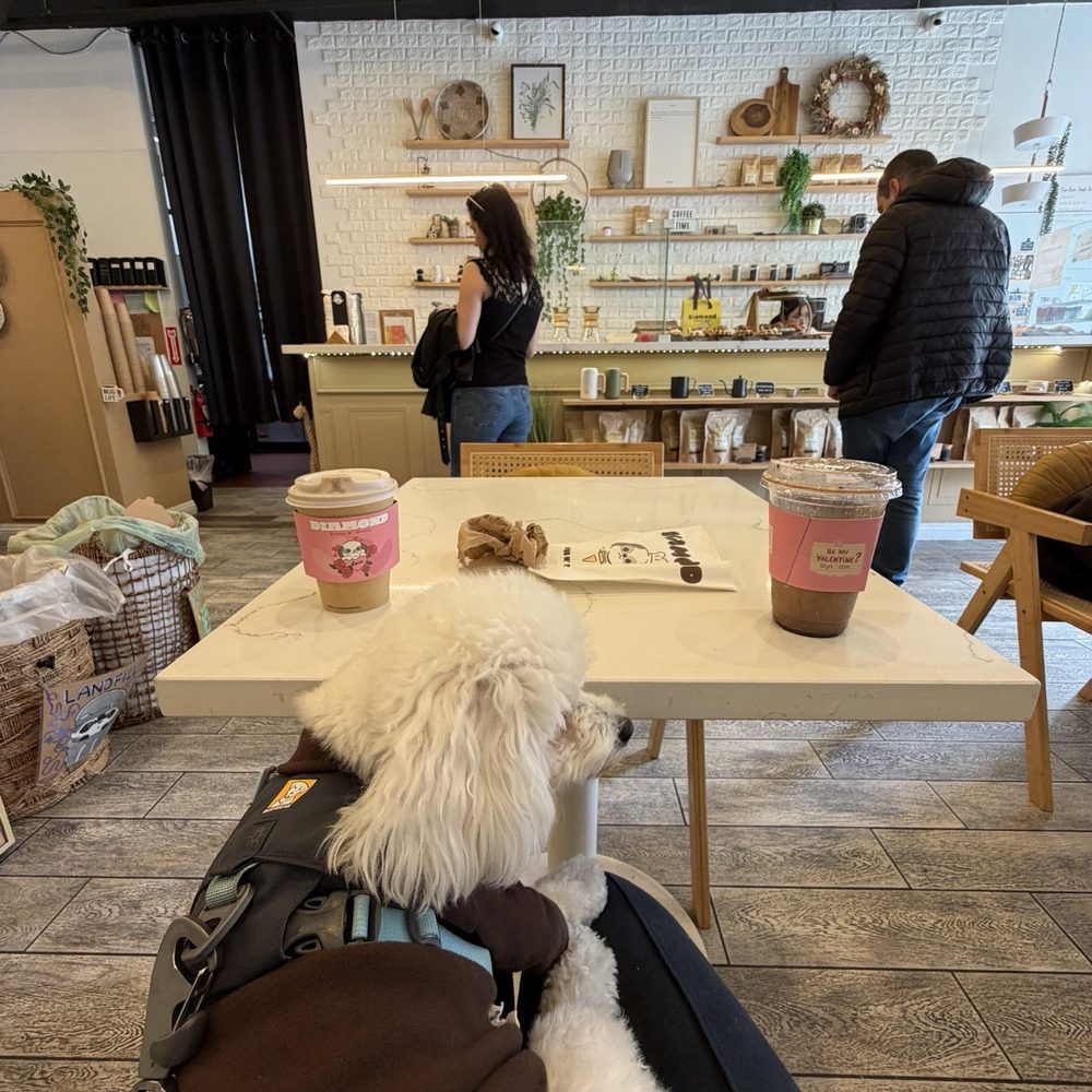 Dog friendly Dog friendly