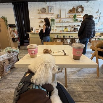 Diamond Coffee N Pastry - Dog friendly - Coffee & Tea Near Me - San Francisco, California Diamond Coffee N Pastry - Dog friendly - Coffee & Tea Near Me - San Francisco, California