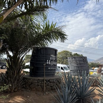 Tres Mujeres - Front parking lot - Distilleries Near Me - Amatitán, JAL Tres Mujeres - Front parking lot - Distilleries Near Me - Amatitán, JAL