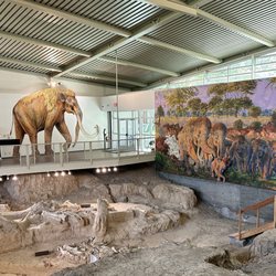 Waco Mammoth National Monument
