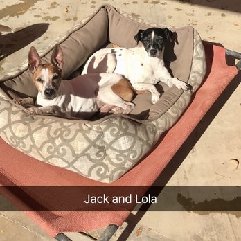 Castaic Canine Camp - Pet Training Near Me - Castaic, California Castaic Canine Camp - Pet Training Near Me - Castaic, California