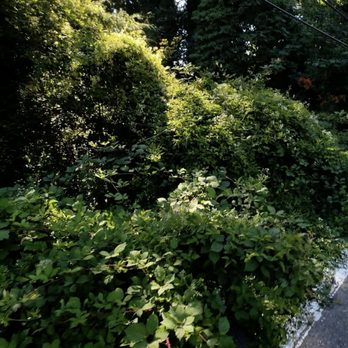 Arden Landscaping - Landscaping Near Me - Vancouver, Washington