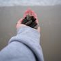 Photo of Hampton Beach State Park