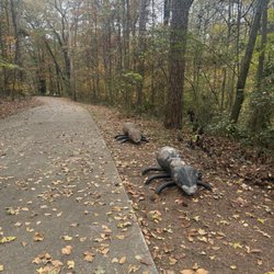 Perkerson Park - Metal Bugs on the side of the walking trail