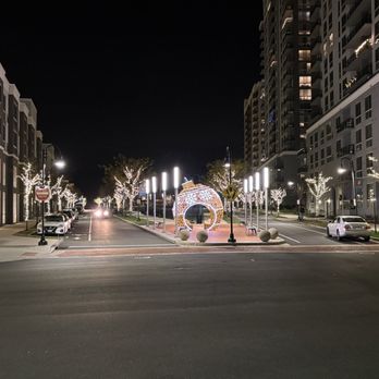 SIGN OF THE WHALE - Updated February 2026 - 440 Photos & 551 Reviews