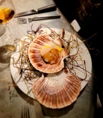 Table Bruno Verjus by null
