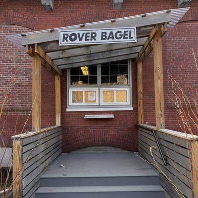 Rover Bagel by null Rover Bagel by null