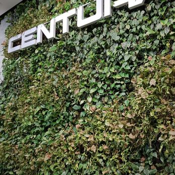 Centura Tile - Living wall - Flooring Near Me - Toronto, Ontario