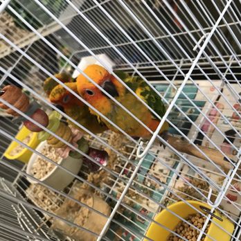 Birds Plus - Bird Shops Near Me - Valley Glen, California Birds Plus - Bird Shops Near Me - Valley Glen, California