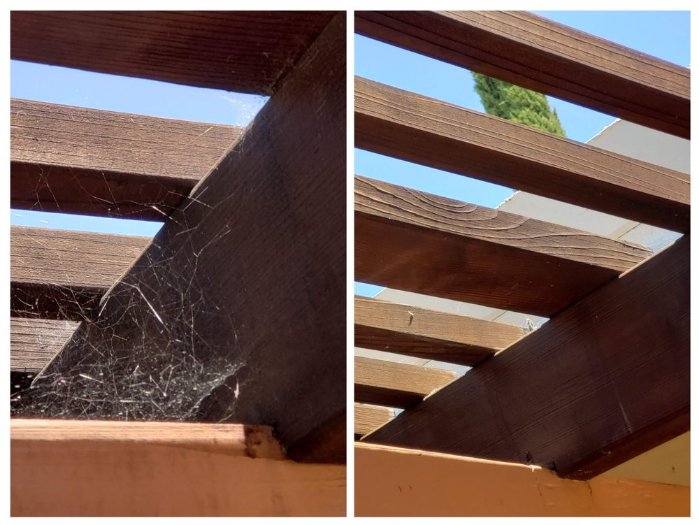 DELTA WINDOW CLEANERS Updated July 2024 Request a Quote 16 Photos