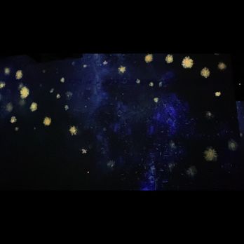 Immersive Van Gogh - Charlotte - Art Galleries Near Me - Charlotte, North Carolina