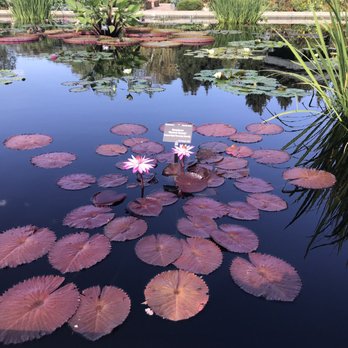 Denver Botanic Gardens - Botanical Gardens Near Me - Denver, Colorado