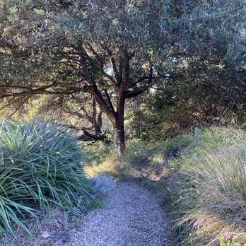 Blake Garden - Parks Near Me - Kensington, California