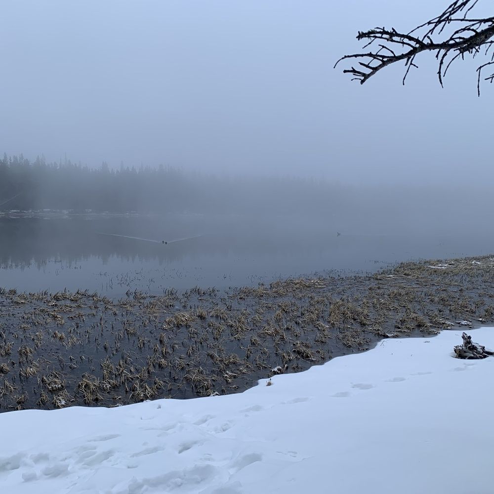 Rewilding Expeditions - Bierstadt Lake around 6am, geese and ducks in there - Tours Near Me Rewilding Expeditions - Bierstadt Lake around 6am, geese and ducks in there - Tours Near Me