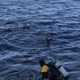 Photo of Aqua-Nut Divers