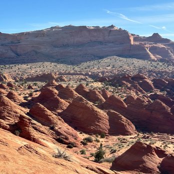 The Wave at Coyote Buttes - Hiking Near Me