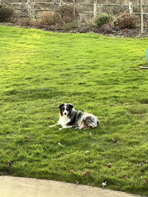 McMinnville Veterinary Hospital