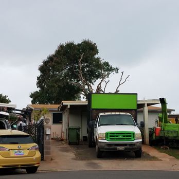 MonkeyMan Tree Care - End day 1 - Tree Services Near Me - Aiea, Hawaii MonkeyMan Tree Care - End day 1 - Tree Services Near Me - Aiea, Hawaii