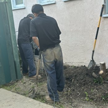 Emergency Antz Plumbing - More Antz , digging up clean out. - Plumbing Near Me - Santa Monica, California