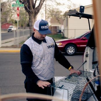 Denco Pest Solutions - Pest Control Near Me