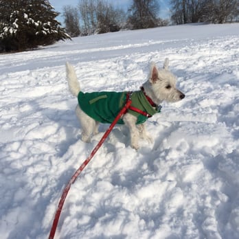 Chase Farm - Ollie's first winter. - Parks Near Me - Lincoln, Rhode Island