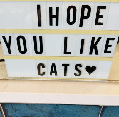 Cat & Craft by null