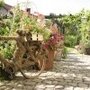 Photo of Kräutergarten