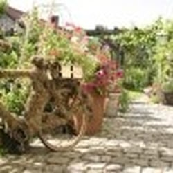Kräutergarten