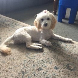 First real haircut